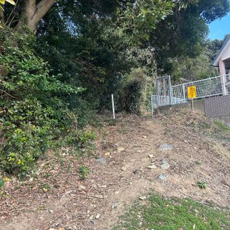 こんな所に出てきました