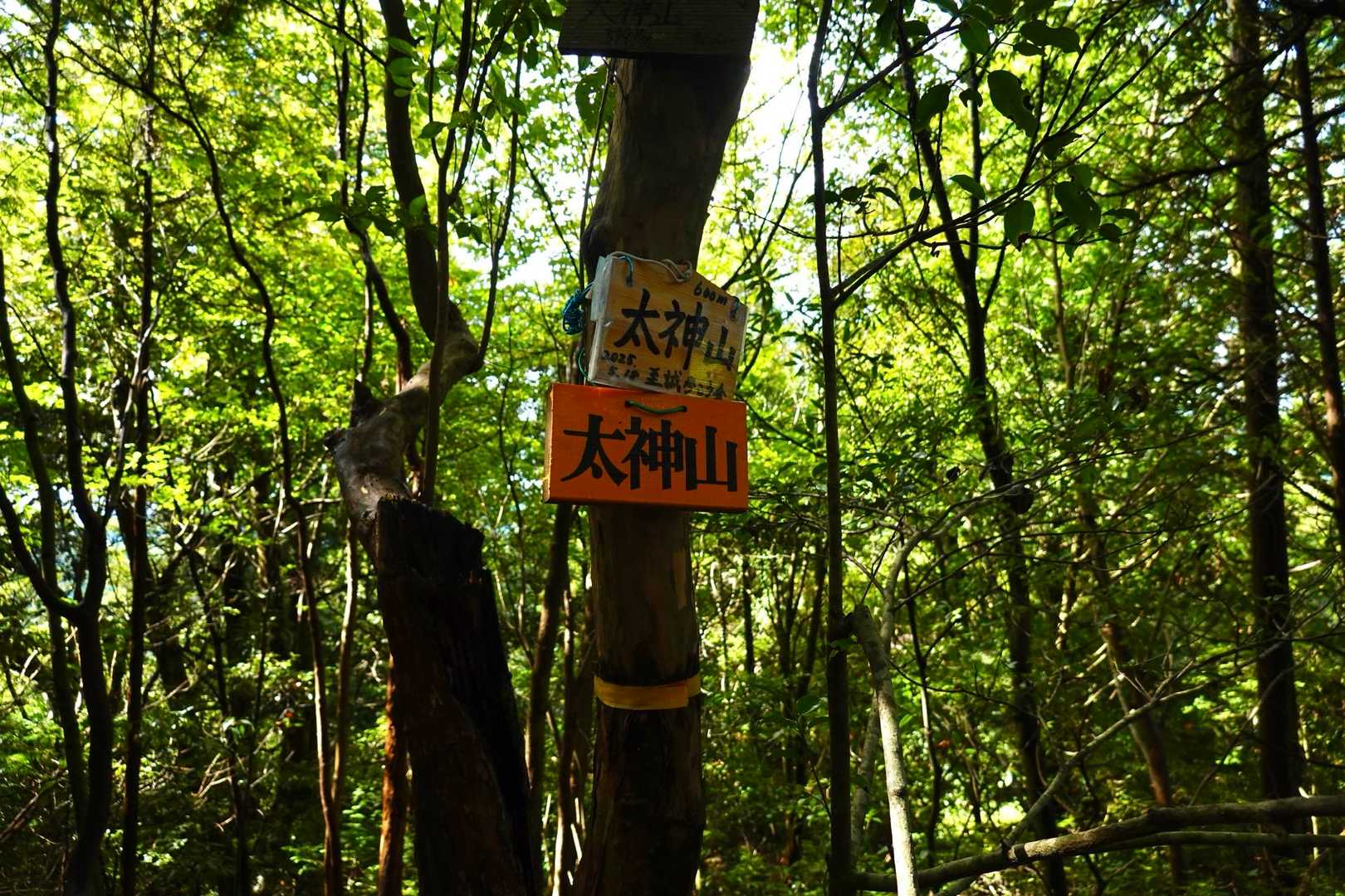 太神山山頂。眺望なし