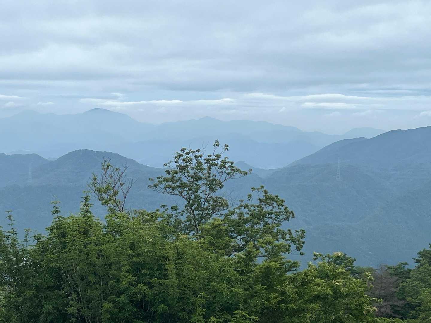 岩めぐり遊歩道入口-上の山-大野山 周回コースの写真