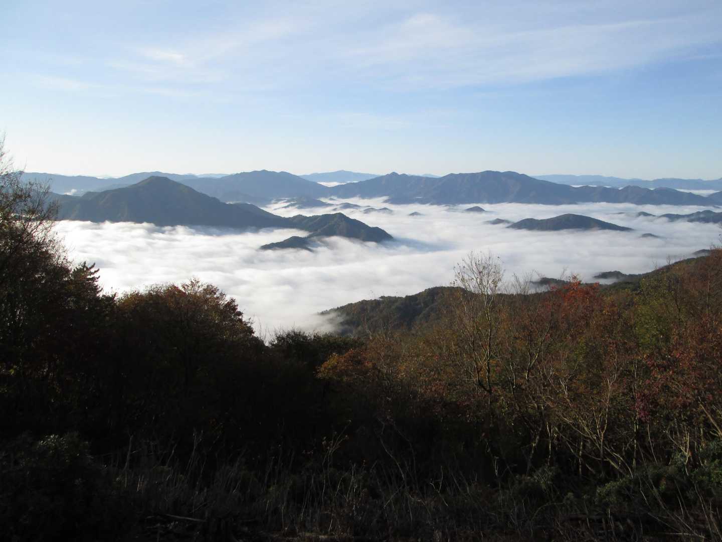 尉ヶ畑峠-高竜寺ヶ岳 往復コースの写真