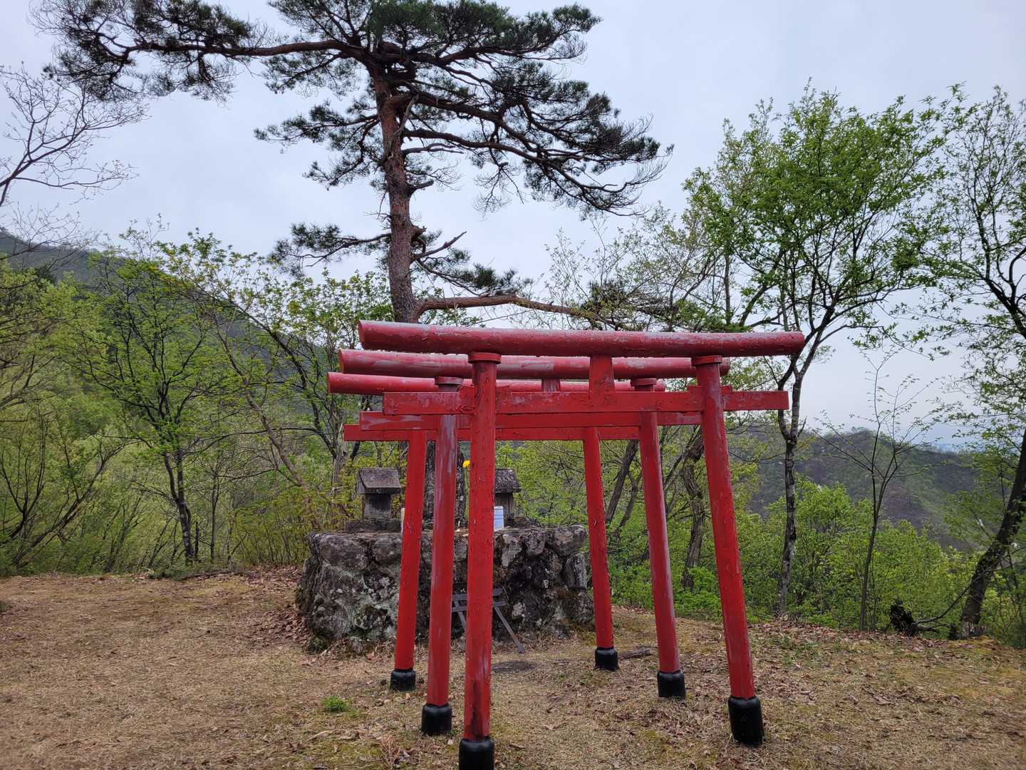 ３連鳥居がありました⛩️⛩️⛩️