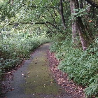 やばい思ったより長い。暗くなってきたし、体が冷えてきた。天が峰はお預けだな。