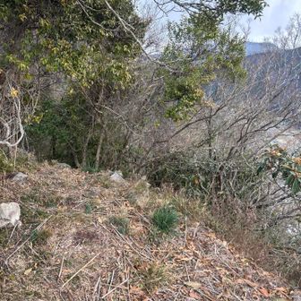 良い感じの基地候補あり
