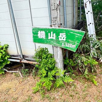 山頂到着。