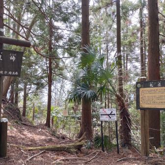 札立峠から下山してもいいと思います。
