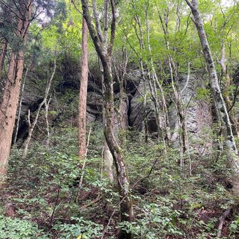 額々山は岩のピークか
薄い踏み跡や背丈の薮を、ピンテを頼りに行く感じなので、ご注意を。