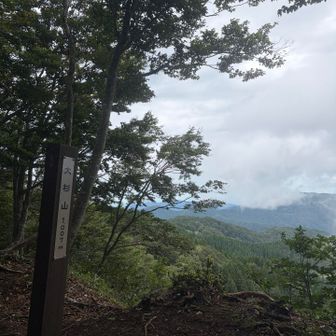 大杉山🌲
ここに来るまでが相変わらず拷問💦