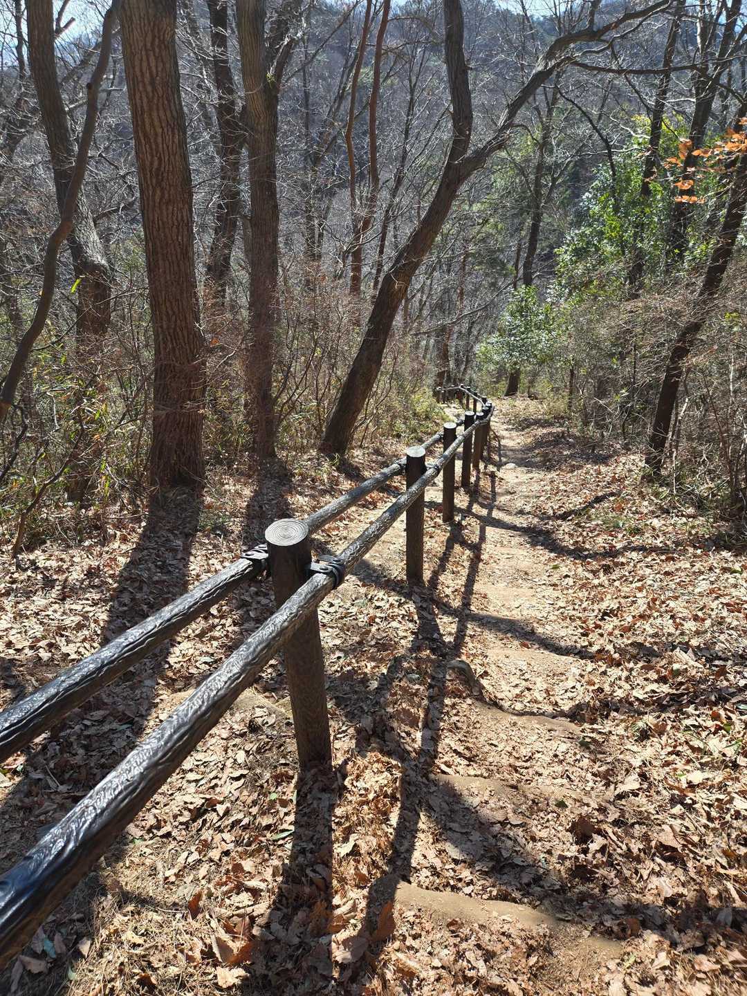 桜峠への長～い急な下り