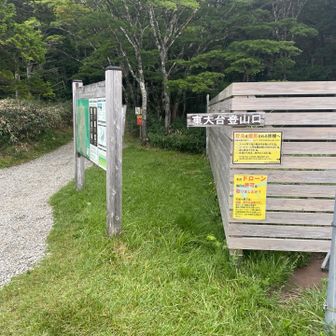 スタートはここ