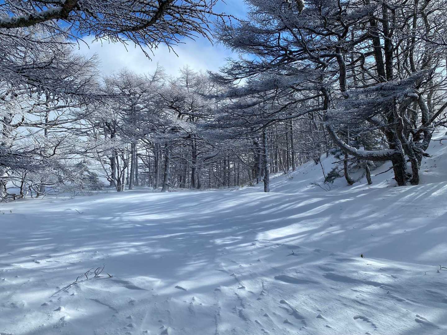こういうひらけた所すき