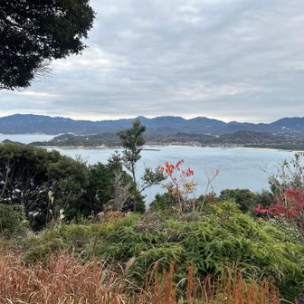 晴れてればもっと映えていたに違いない