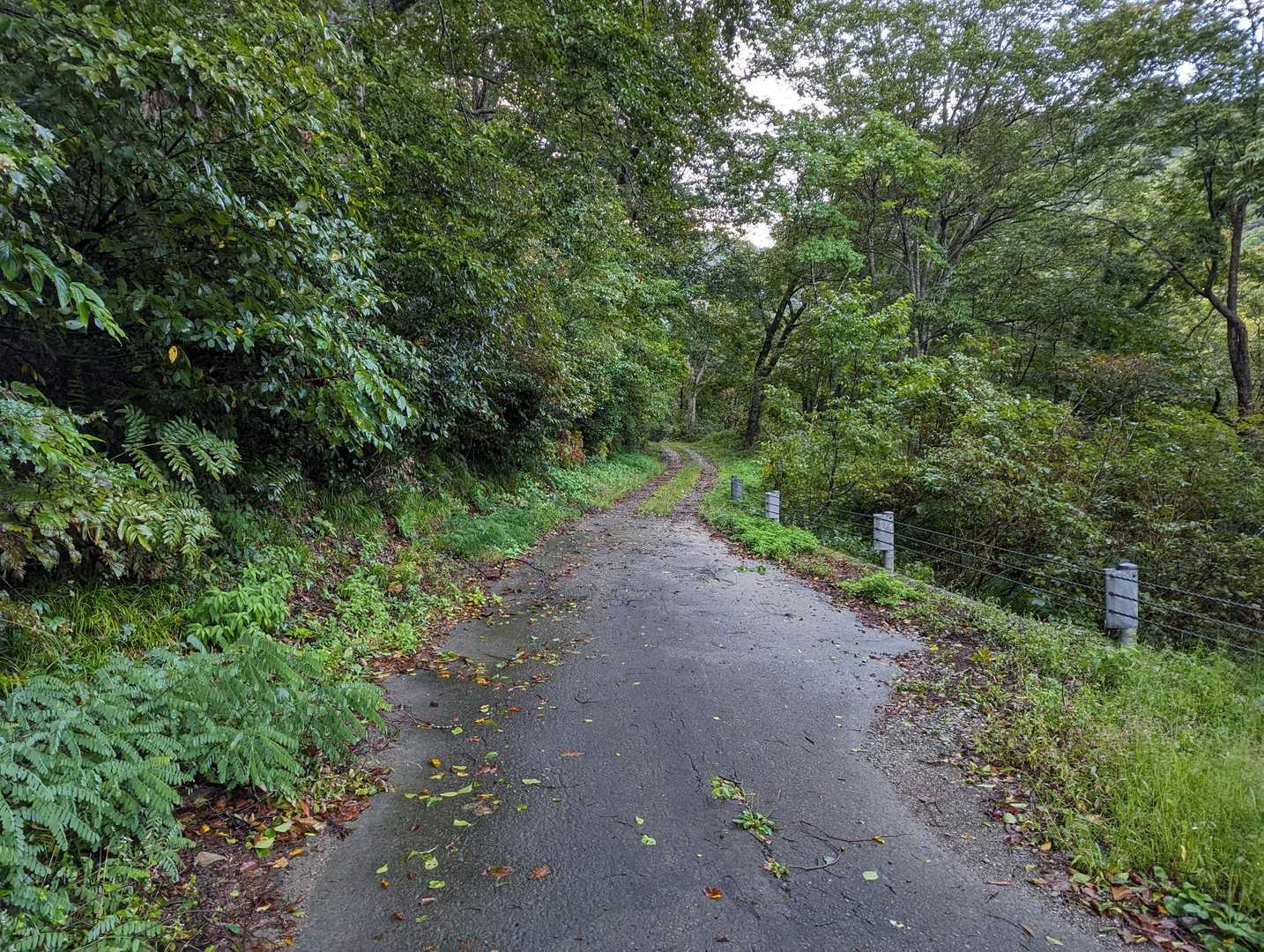奥胎内橋から非舗装路