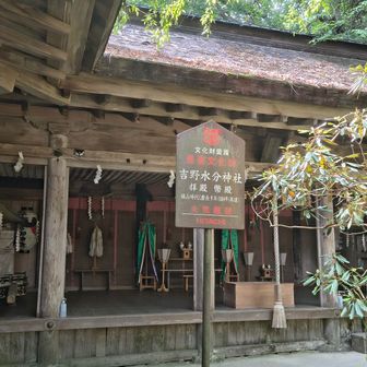 吉野水分神社⛩️は子守宮ともいい、子授け・安産・子どもの守護神として篤く信仰されているとここと。
豊臣秀吉が子授け祈願をし、その子秀頼を授かったことから、現在の社殿はその申し子である秀頼が1604年に再建したもので、桃山様式建築の三殿一棟の本殿・幣殿・拝殿・楼門・回廊は国の重要文化財に指定されているとのこと。