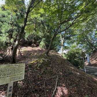 佐々里峠着地✨ 左奥から下りてきて車道に出て奥に進みます。看板にある通り、ダンノ峠から小野村割岳ピークまで救助ポイントのポールが定期的にあります