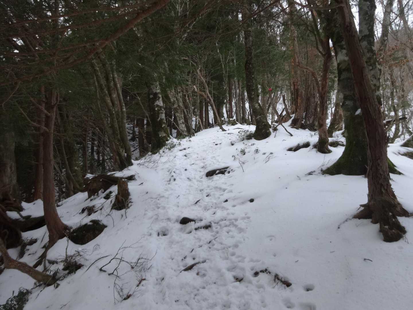 滑りやすくなったのでこの辺からアイゼン（スパイクチェーン）を付けます