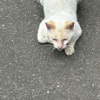 たろう君らしい🐈‍⬛