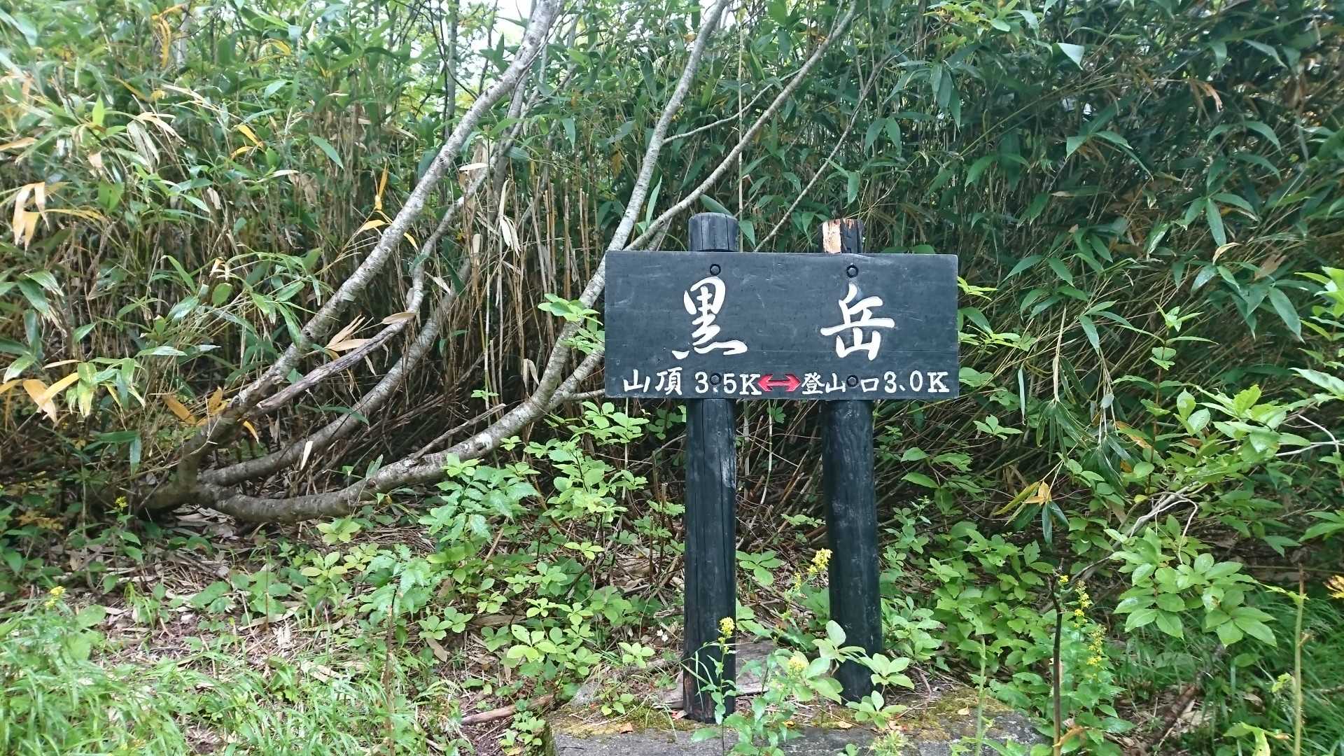 下りてきました