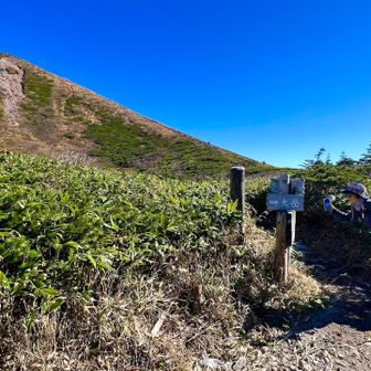 行きたいのは山々ですが…
今日は周回コースで下山します