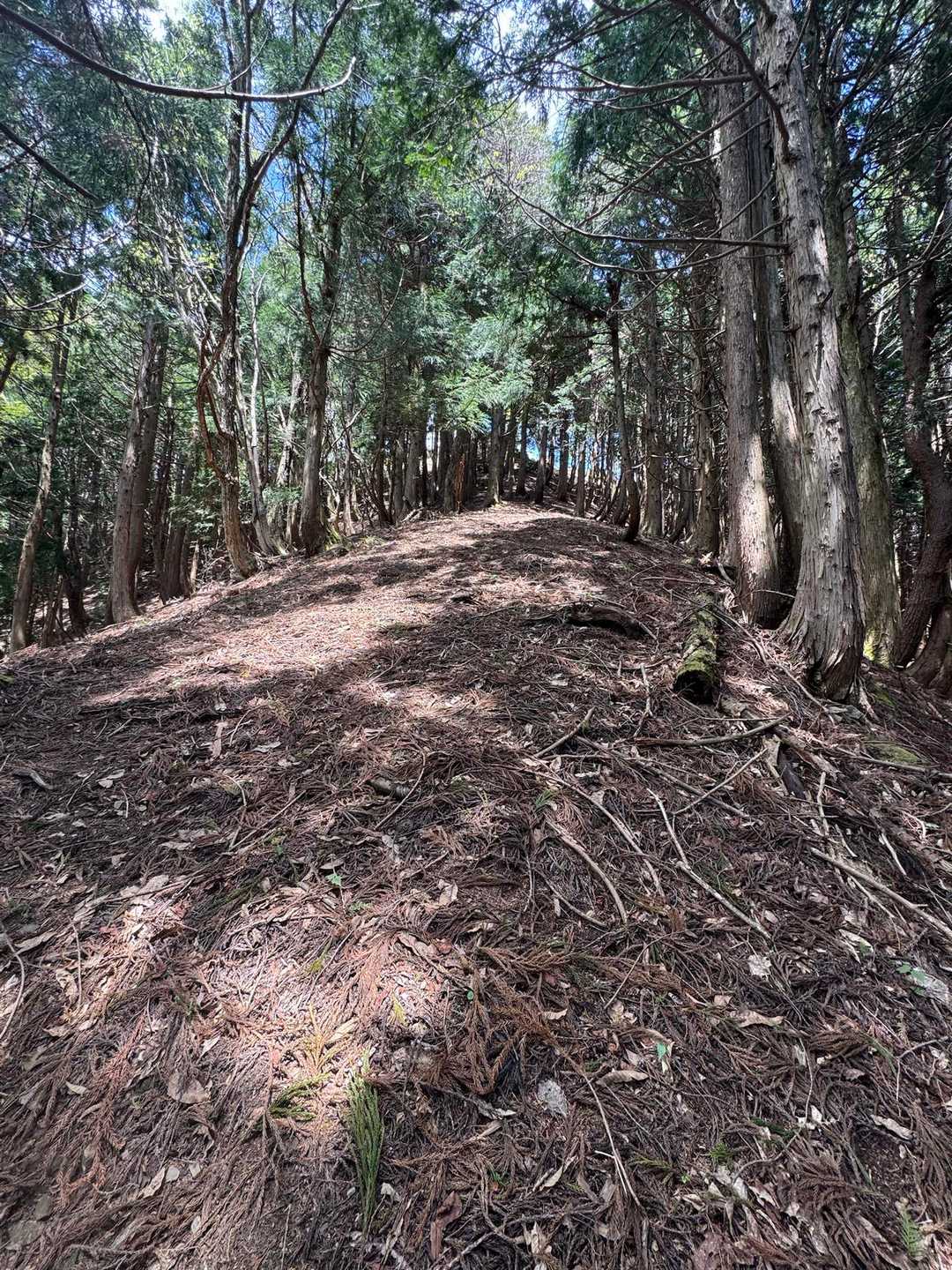 山頂まであと少し！と思いましたが山頂まで激登りでした💦
