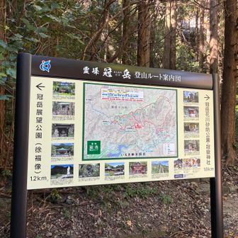 林道まで降りて来ました