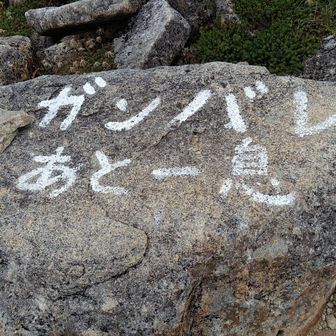 うん、がんぱるよ!
すでにヘロヘロ🫠笑