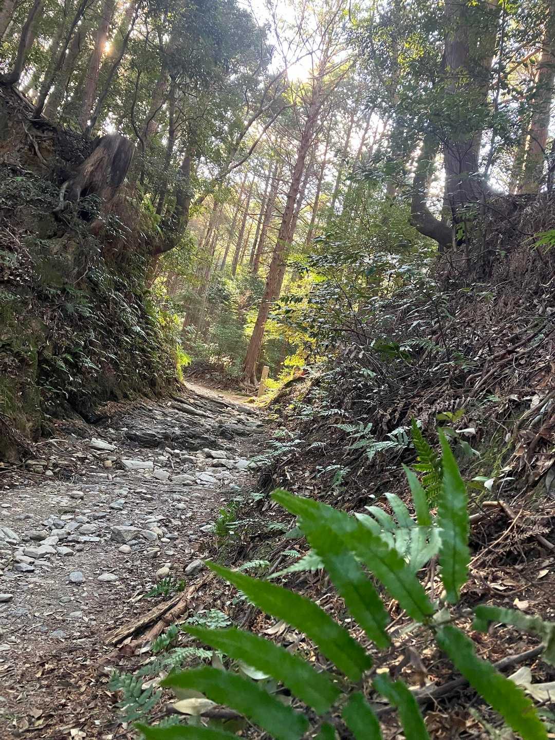 朝熊岳道入口-朝熊峠-朝熊ヶ岳-金剛證寺-朝熊山 縦走コースの写真