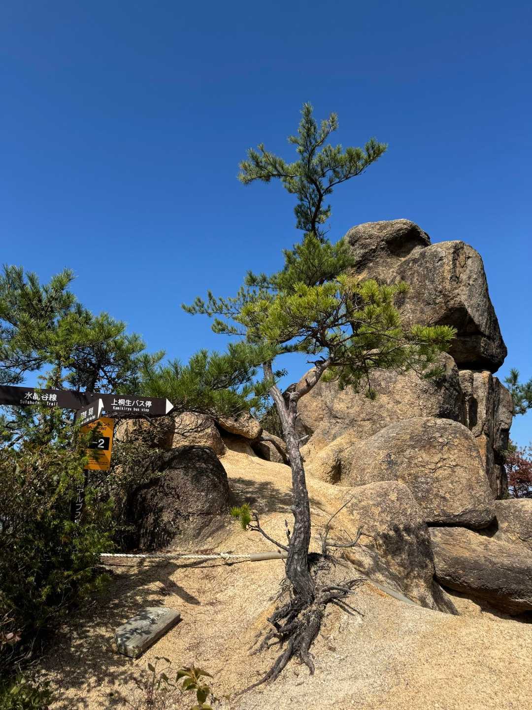 振り返ると真っ青な空と岩と松☀️