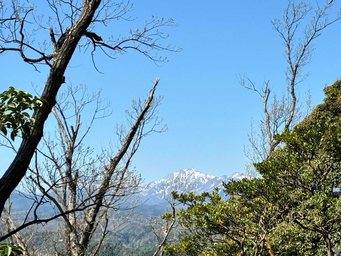 大山