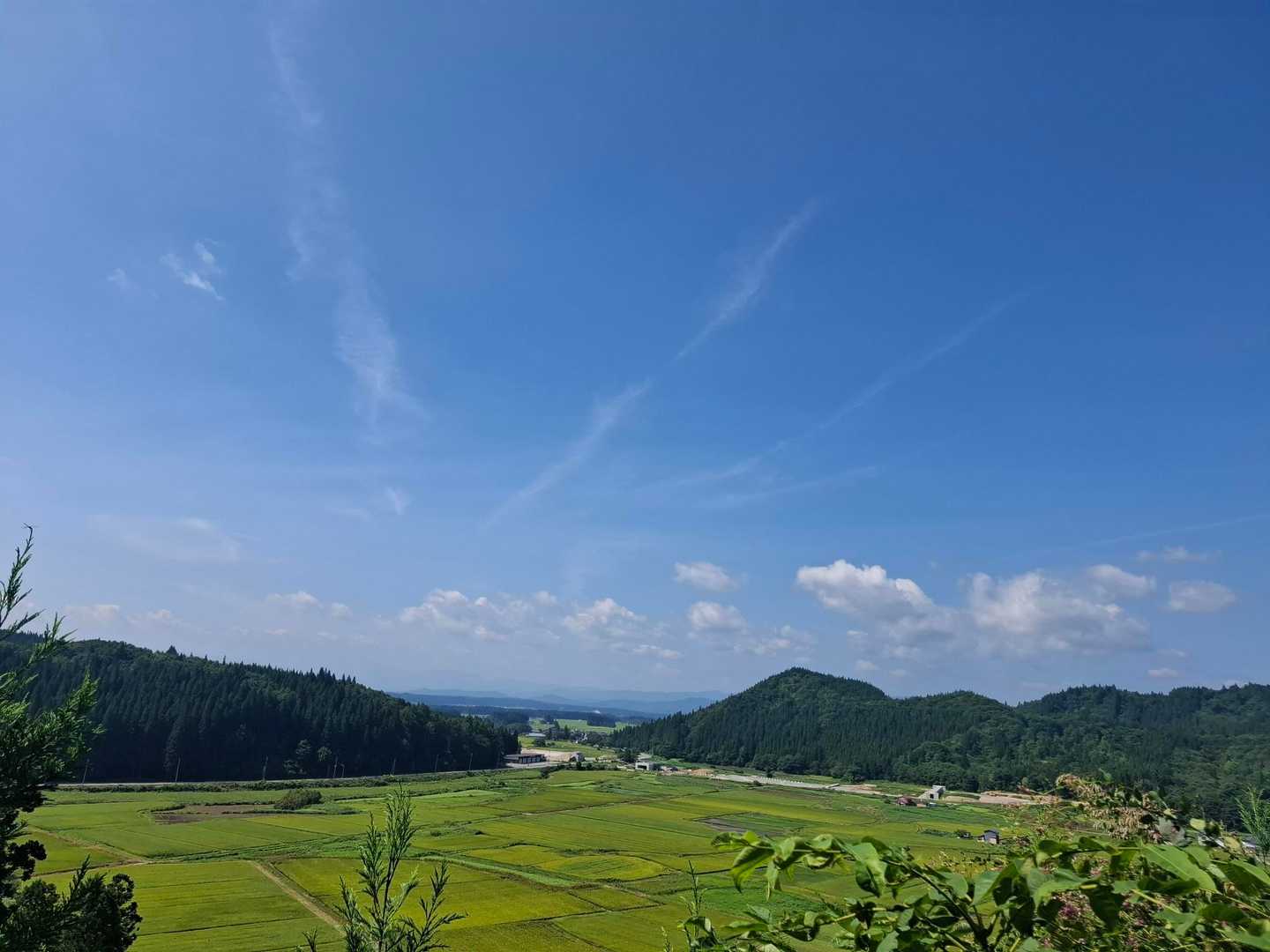 のどかな風景です