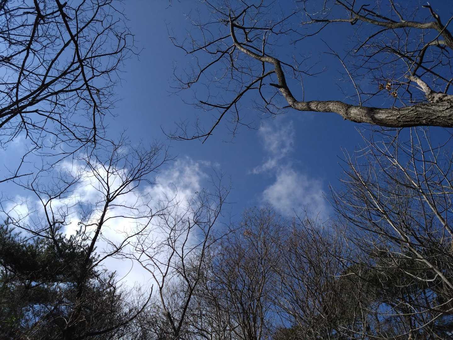 好きな空