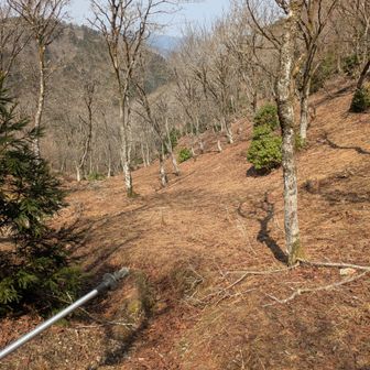 紅葉の時期は綺麗そう