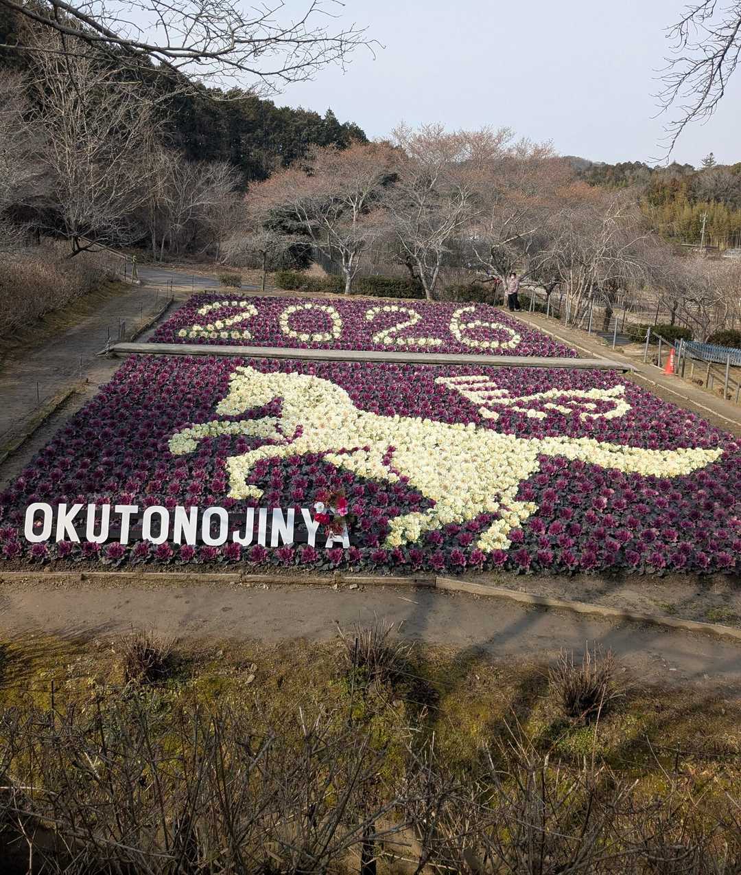 奥殿陣屋ルート登山口-村積山 往復コースの写真