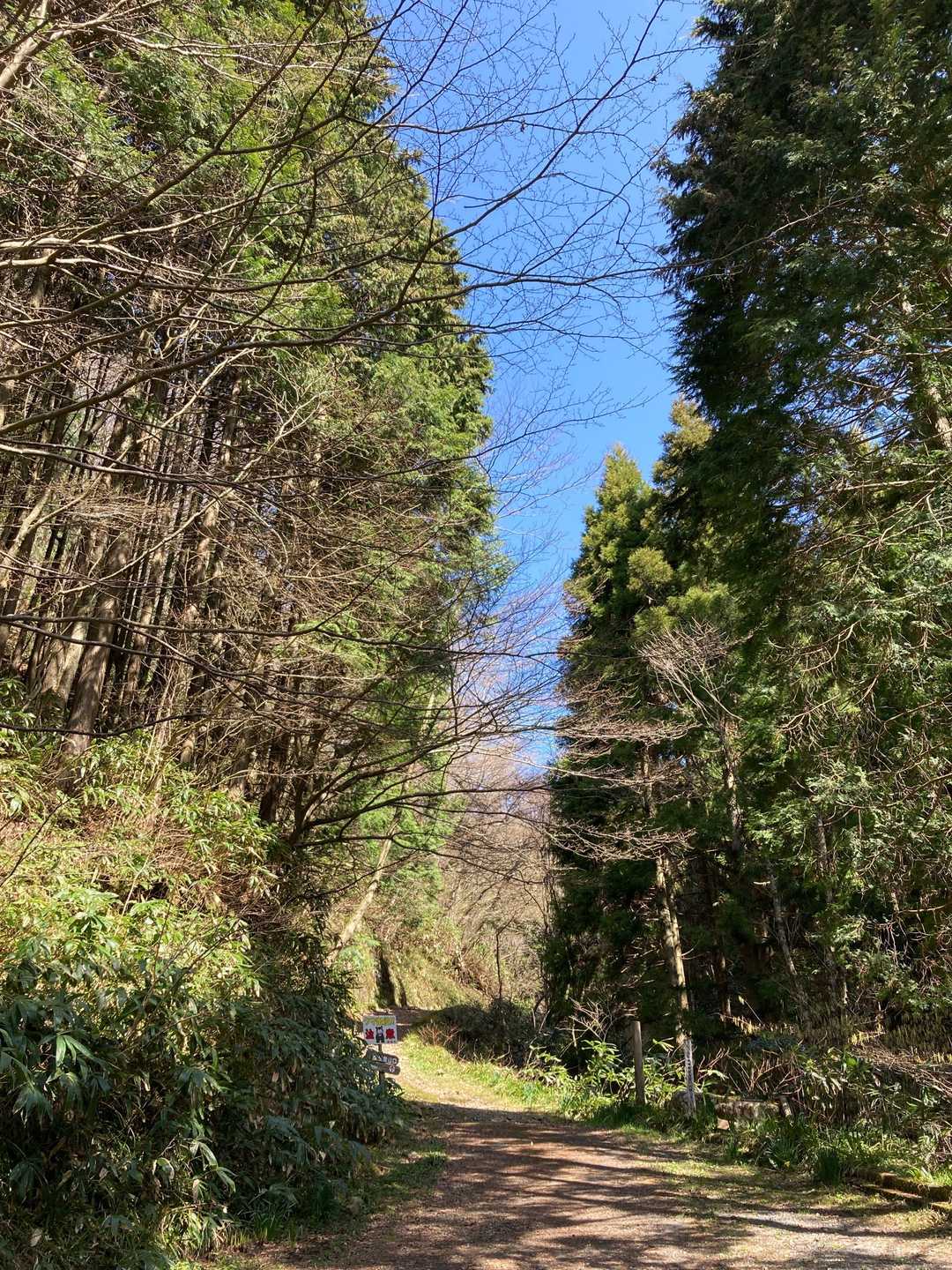 莇ヶ岳スタート！！