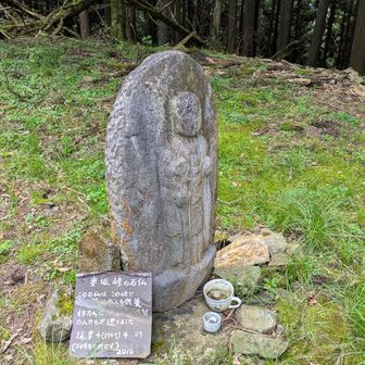 石仏あり
江戸時代中頃のものとのこと