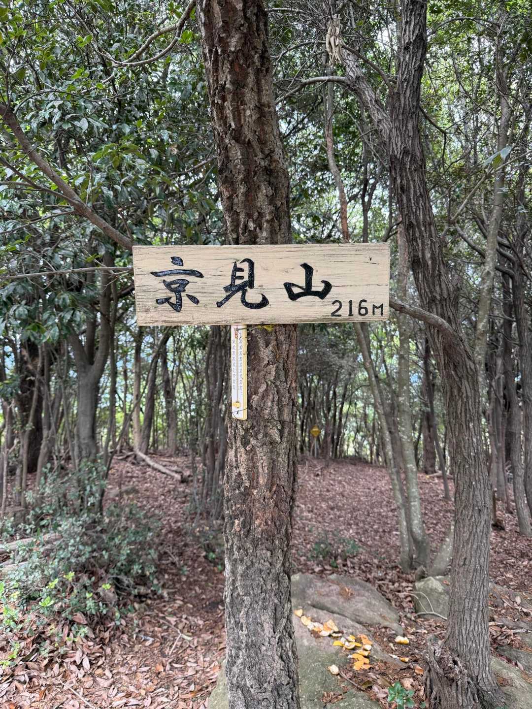 あっという間に本日の最高峰！