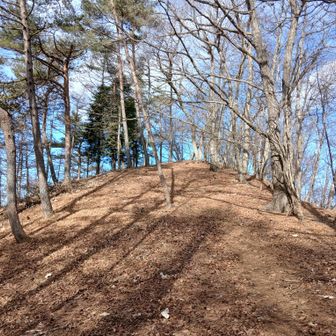 氷室山まであと一息