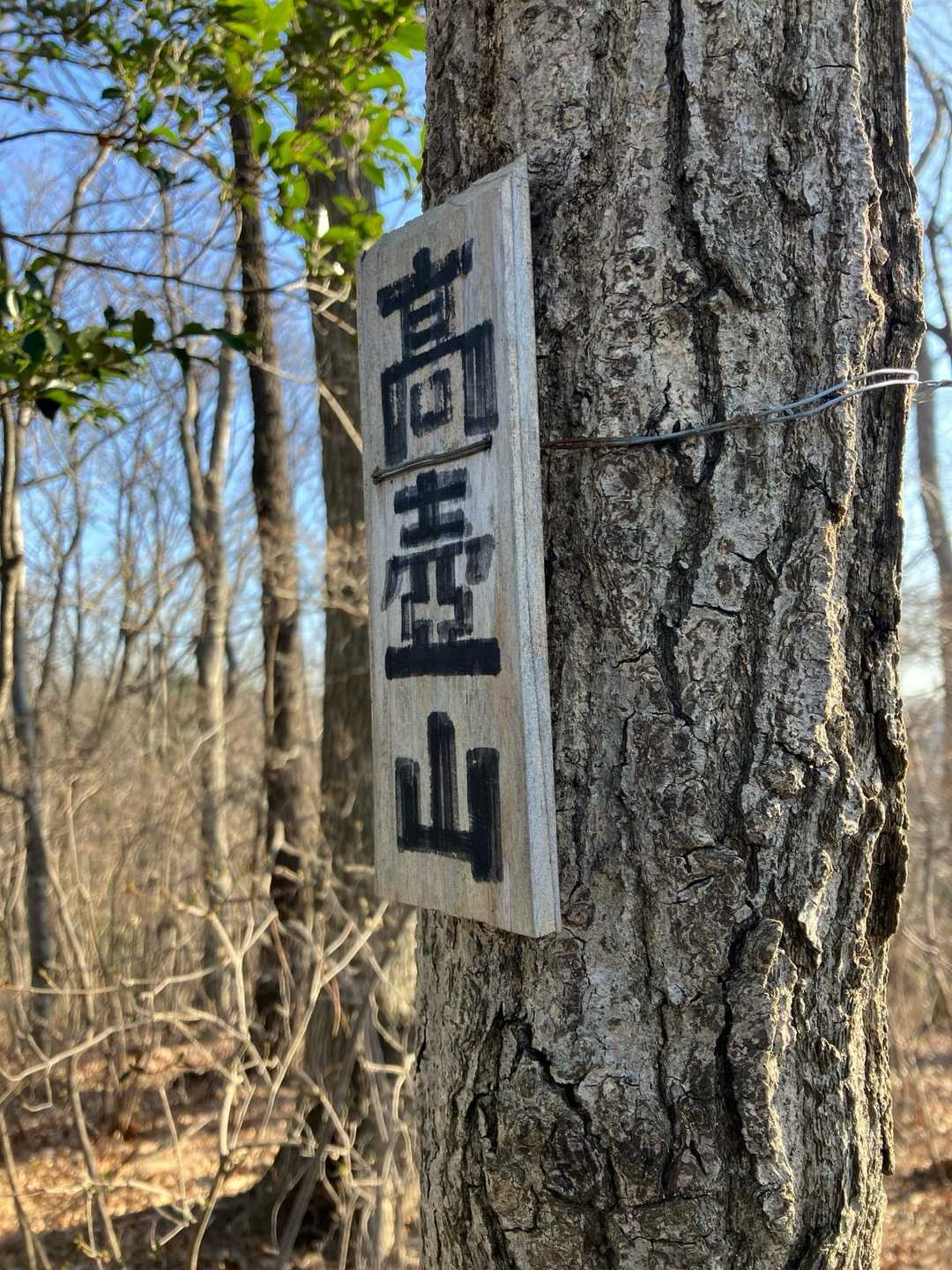 始めまして