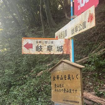 金華山にはたくさんのルートがある