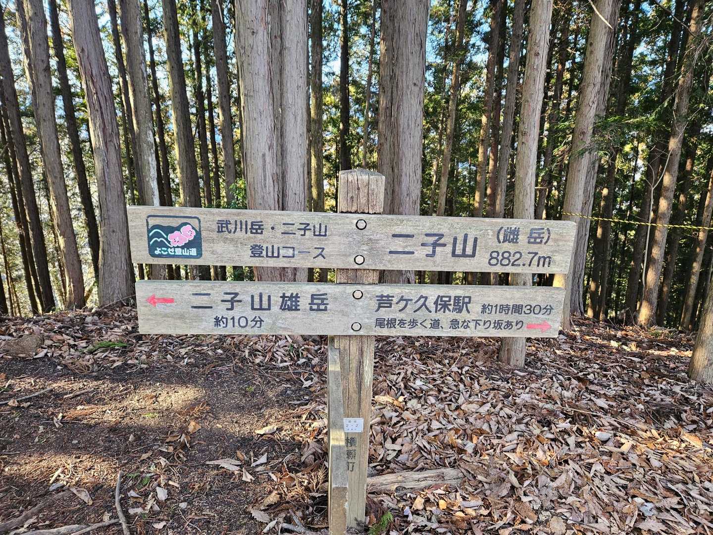 二子山（雌岳）山頂