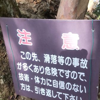 鷹戻しに向かいますよ