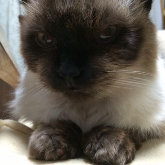 たけさんちゃん