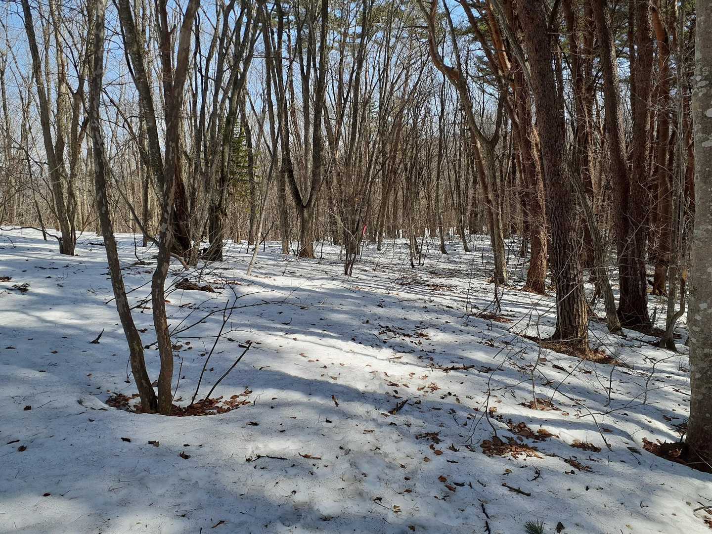 いや～、流石に正午となると雪が腐ってズボりますね😅
雪が深くないのが救い😅