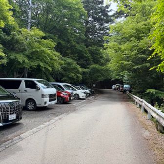 おや？今日は車がいっぱい。何故？