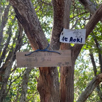 相場振山ピーク