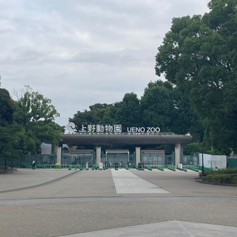 🐼はもういないんだっけ