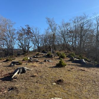 この素敵な山、