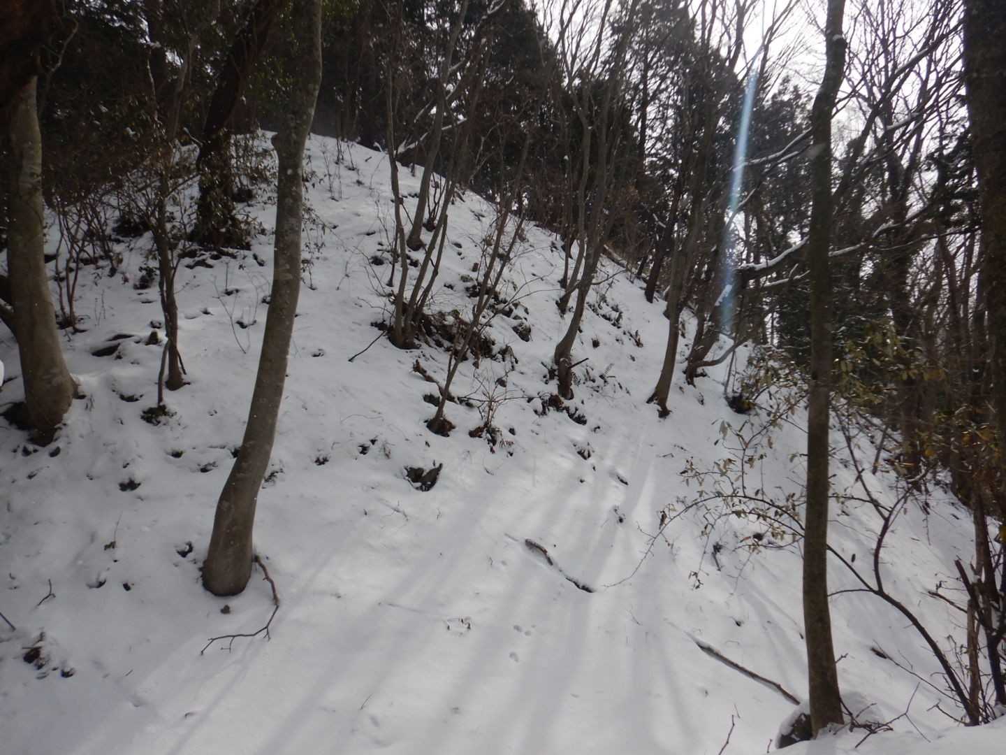 高鉢山(主郭)の直下まで来たけど💦