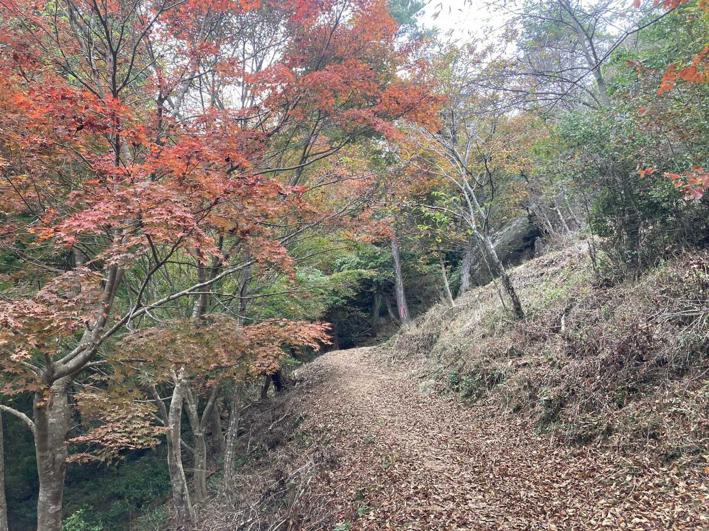 八幡神社-東天神嶽-天神嶽 往復コースの写真