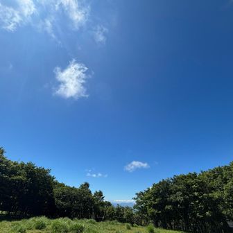 こんなに晴れた山行はいつ以来だ…！