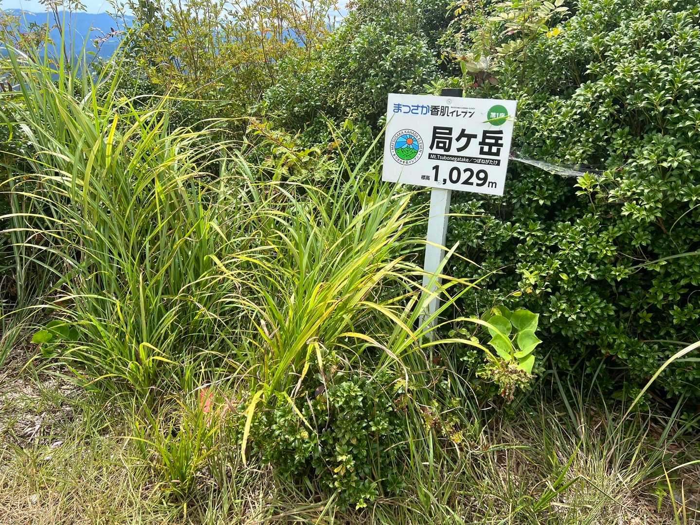 局ヶ岳 往復コースの写真